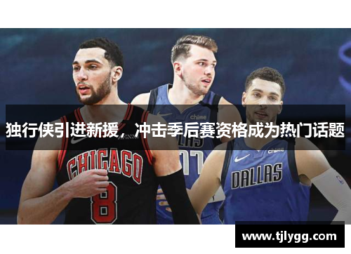 独行侠引进新援，冲击季后赛资格成为热门话题